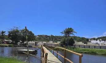 Imagem 5: Busca Vida concept