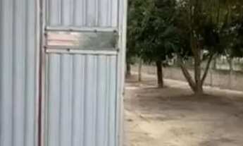 Imagem 3: Sítio em Irara Bahia- Oportunidade