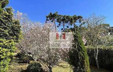 Imagem 4: Terreno à venda, 1800 m² por R$ 1.808.500 - Centro - Campos do Jordão/SP