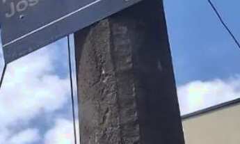 Imagem 4: Terreno reserva do bosque