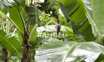 Imagem 3: Casa na Floresta em Condomínio Vargem Grande/RJ