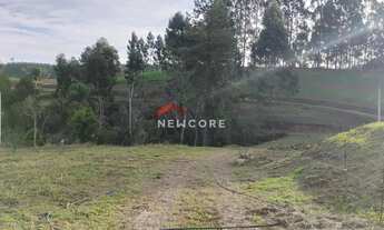 Imagem 7: Chácara em Estrada Pedro Oliveira - Cascatinha - Tijucas do Sul/PR