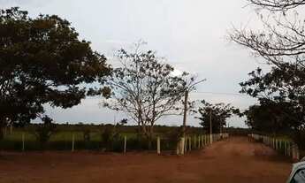 Imagem 3: Fazenda no Oeste do MT