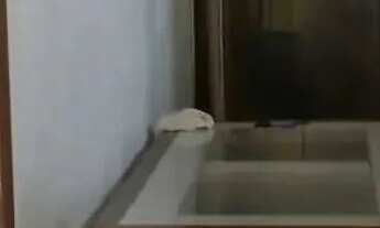 Imagem 2: Casa à venda em rua pública, SÃO CONRADO, Aracaju, SE