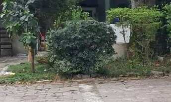 Imagem 7: Pizzaria com salão e buffet Suzano. Ref; 1960