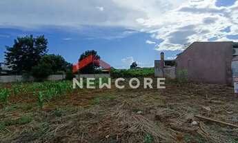 Imagem 6: Lote em São Miguel do Iguaçu - São Jorge - São Miguel do Iguaçu/PR