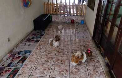 Imagem 5: Oportunidade Casa Duplex na Farolândia - 167366 [9792