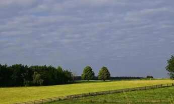 Imagem: Ar puro, água por perto e muito verde