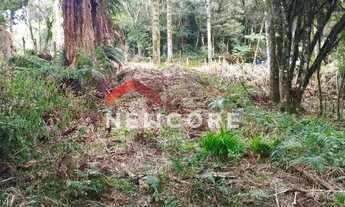 Imagem 2: Lote em Rua da Carapina - Vale do Carapina - São Francisco de Paula/RS