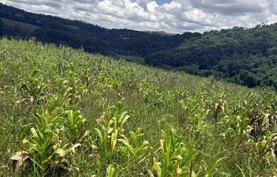 Imagem 7: Ds(Oportunidade única pra vc obter seu terreno no interior!!