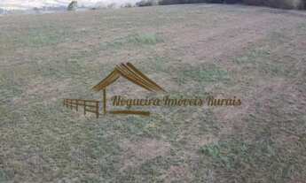 Imagem 6: Excelente área com 13,74 alqueires na Região de Sorocaba