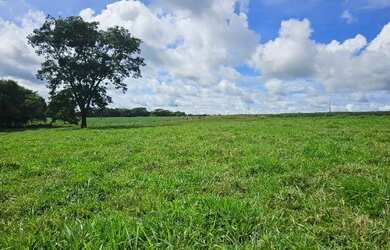 Imagem 3: Área 24 hectares, Rio Verde - GO