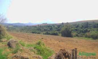 Imagem 7: Fazenda Em Pouso Alegre