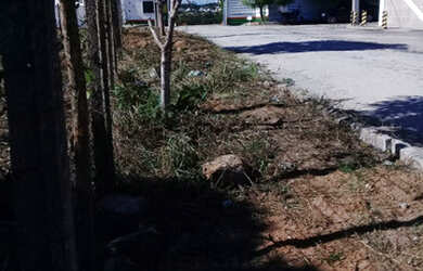 Imagem 3: Lote de Esquina à Venda em Nova Parnamirim