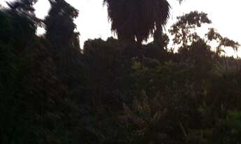 Imagem 3: Gosta de conviver com natureza tranquilidade more em paraty