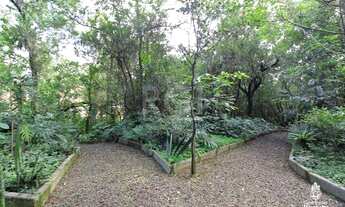 Imagem 5: Porto Alegre - Casa Padrão - Agronomia