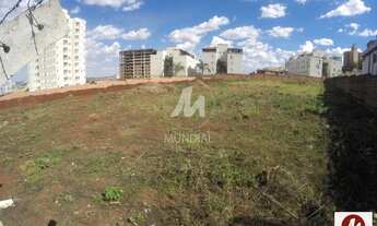 Imagem 4: Terreno (terreno normal