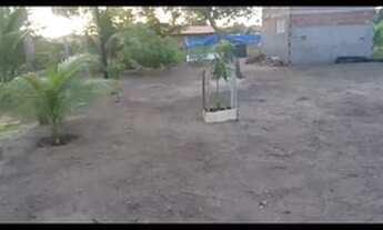 Imagem 5: Terreno Terreno / lote com venda por R$50.000