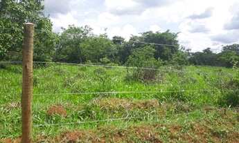 Imagem 4: Oportunidade !! Fazendinhas de 20.000m2 com valor baixo para entrada !!