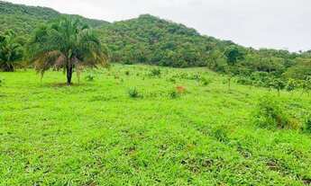 Imagem 11: Fazenda na Agrovila das Palmeiras 630 Hectares