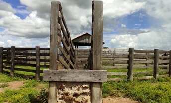 Imagem 2: Fazenda para pecuária em Rosário Oeste