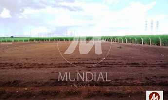 Imagem 4: Terreno (terreno normal