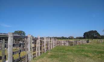 Imagem 5: Fazenda de 110 hectares. Plana. Divisa Rio Aquidauana - Corguinho - MS