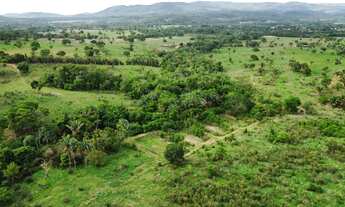 Imagem 13: Fazenda na Agrovila das Palmeiras 630 Hectares