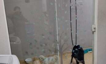 Imagem 5: Residencial - Jd Sao Carlos 5