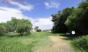 Imagem 3: São Carlos - Galpão/Depósito/Armazém - Vila Celina