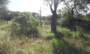 Imagem 6: Lindo sitio de 20 mil metros(Baldim) Temos varias opções)