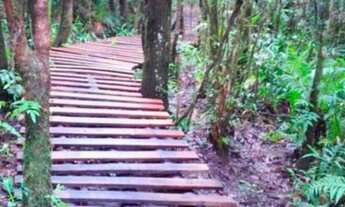 Imagem 5: Lotes em Pardinho