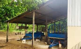 Imagem 3: Fazenda na Agrovila das Palmeiras