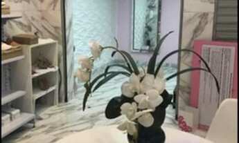 Imagem: Vendo imóvel em Coelho Neto - todo legalizado