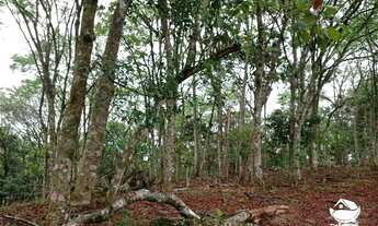 Imagem 4: Terreno à venda no bairro São Francisco Xavier - São José dos Campos/SP