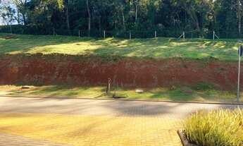 Imagem 5: Terreno à Venda - Primavera