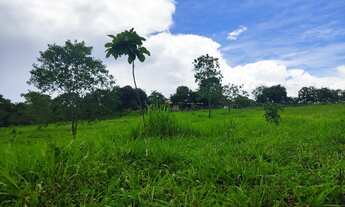 Imagem 3: Excelente Fazenda Sitio em 11 km de Unai MG
