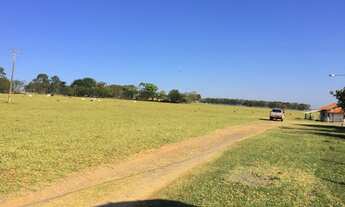 Imagem 5: Fazenda 33 Alqueires, Região de Tatui-Sp