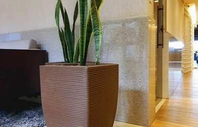 Imagem 4: Apartamento para alugar no bairro Floresta - Belo Horizonte/MG