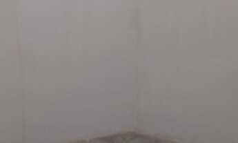 Imagem 2: Casa aluguel Bairro Maracangalha Zap