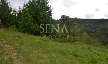 Imagem 4: Terreno / Venda Terreno / lote com venda por R$245.000