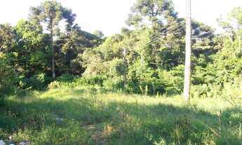 Imagem: Terreno para Venda em Quatro Barras, Jardim