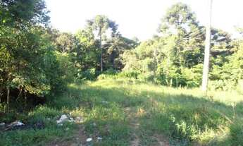 Imagem 5: Terreno para Venda em Quatro Barras, Jardim Orestes Thá