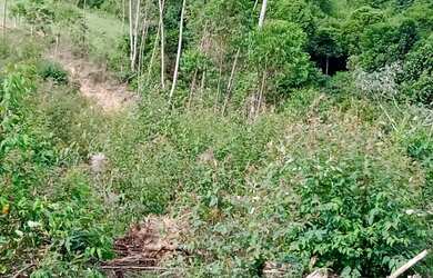 Imagem 6: Terreno em Igaratá | Loteamento Vale das Águas