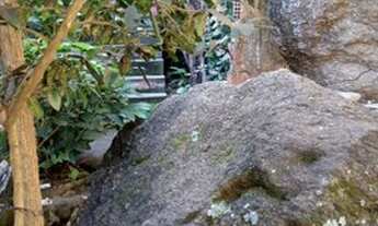 Imagem 6: Ótima casa em Charitas