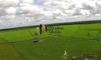 Imagem 3: Vendo Fazenda Prox. de Castanhal 1.163,5657 hà