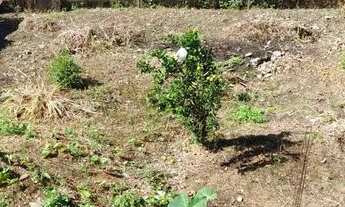 Imagem 6: Lote com Casa em construção