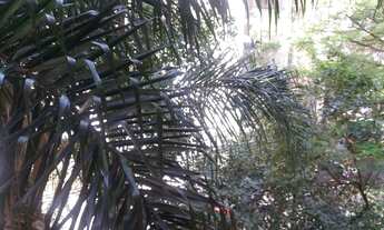 Imagem 3: No melhor do Paraíso, amplo e confortável apartamento