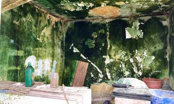 Imagem 6: Casa Térrea Jd. Gonzaga