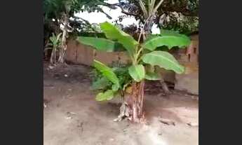 Imagem 7: Vendo casa com 4 quartos, 2 salas, quintal e uma área na frente da varanda